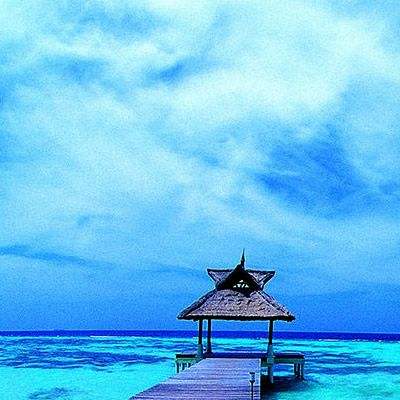 澳门人威尼斯3966app下载