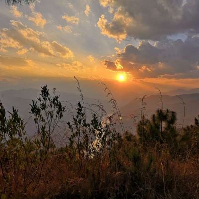 ayx在线登录入口手机app下载