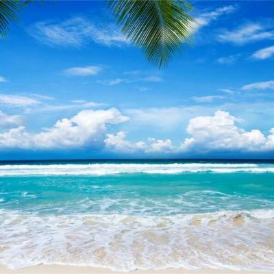 49图库资料免费大全资料澳门下载手机版