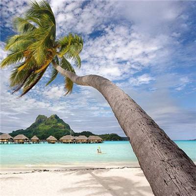 雷火体育APP官网入口