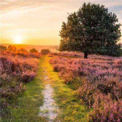 炸金花单机游戏app下载